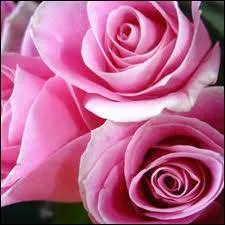 Diane de Beausacq a crit 'Il vaut mieux aimer qu'tre aim ; d'abord, on ' 