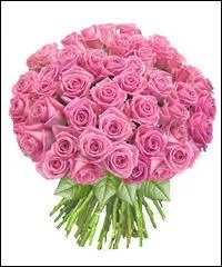 Henri de Toulouse-Lautrec a dit ''L'amour, c'est quand l'envie vous prend ... 