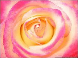 L'auteur de Jacques le fataliste, Denis Diderot, a crit 'Il n'y a que les ' 