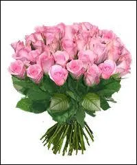 Aprs bien des preuves, dues  la jalousie de sa mre, Cupidon pousa Psych (l'me). Ils eurent une fille, nomme... ?