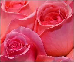 Friedrich Nietzsche, le philosophe allemand, a crit 'Dans la plupart des amours, il y en a un qui joue et un autre qui est jou. Cupidon est avant tout un petit ' 