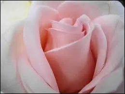 'L'amour platonique' est une conception philosophique des relations amoureuses qui est ne  quelle poque ?