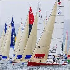 Cette anne-l, quelle clbre course de voiliers est organise pour la premire fois ?