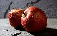 La pomme est le fruit du pommier. Elle est comestible et a un got sucr ou acidul selon les varits.