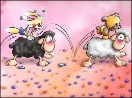 Qui est sur Vanillivi ?