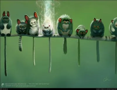 Diffrentes espces de tarsiers !