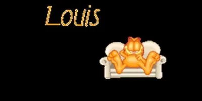 Lequel de ces prénoms est la forme bretonne de Louis ?