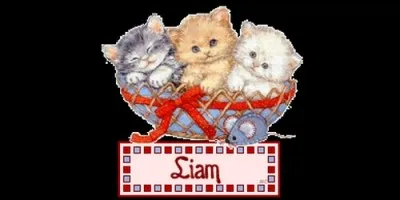 De quelle origine provient Liam, que l'on fête le 10 janvier ?