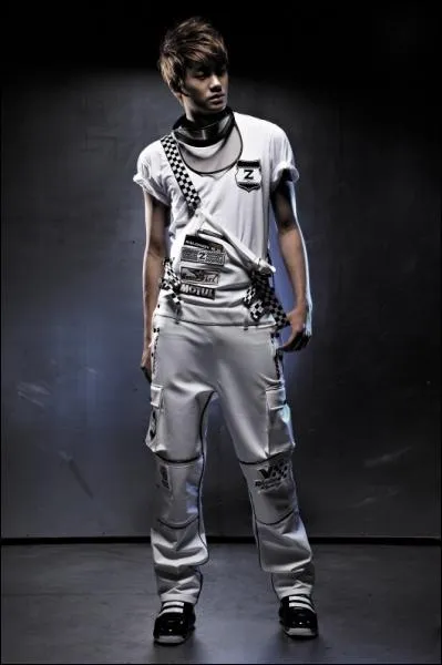 Qui est le chanteur principal , il est n en 1991 ?