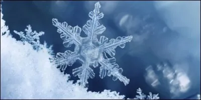 Le flocon est un récompense de ski.