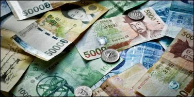 Sur quel continent trouve-t-on des Won ?