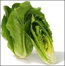 Quelle est l'expression associe  l'illustration... ?