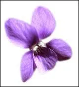 C'est en ajoutant quel prnom  l'illustration qu'on obtient un film franais ?