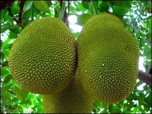 Et celui l, comment s'appelle-t-il ?