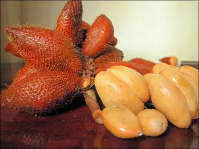 Ces fruits sont des :