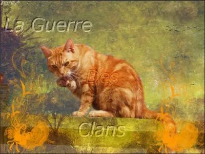 Quel est le titre du livre ?