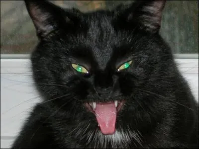 Dernire question : combien de grandes batailles y a-t-il ?