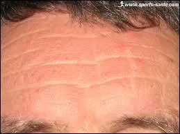 Front : le mot se traduit par :