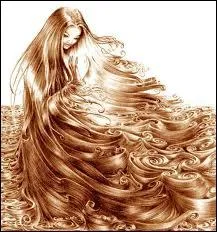 Cheveux : le mot se traduit par :