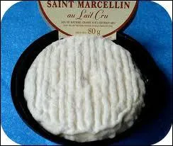 Voici un Saint Marcellin, de quel dpartement vient-il ?