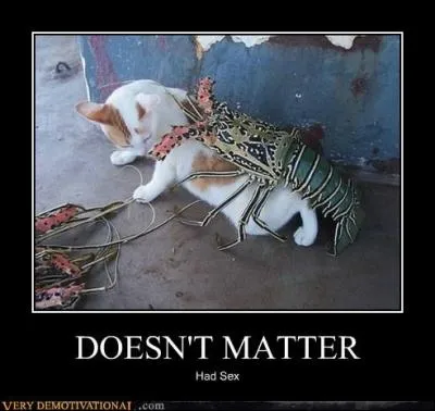 Une drle de cavalire !