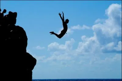 Quels sont les seuls animaux qui ne peuvent pas sauter ?