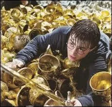 Avec quel sortilge tout ce que touche Harry se ddouble ?