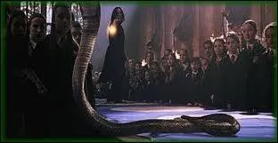 Avec quel sortilge le professeur Rogue fait-il disparatre le serpent que Drago Malefoy a fait apparatre ?