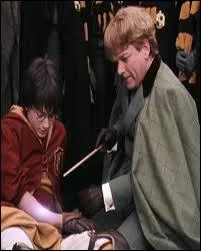 A cause de quel sortilge Harry a-t-il perdu les os de son bras ?