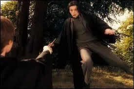 Quel sortilge James Potter a-t-il lanc  Severus Rogue ?