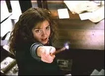 Quel sortilge Hermione a-t-elle lanc aux lutins de Cornouailles ?