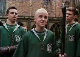 Quelle est la marque de balai que Lucius Malefoy a achet pour les joueurs de l'quipe de quidditch de Serpentard ?