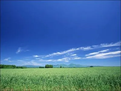 Il pourrait exister jusqu' 45 millions d'espces d'insectes sur Terre :