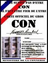 Quelle fille traite souvent son compagnon de ' pauvre con ' ?