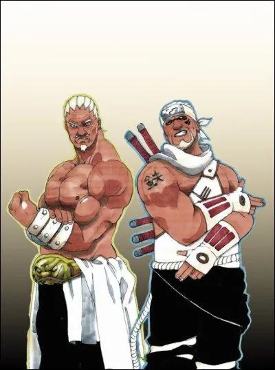 Qui est le frre du Raikage ?