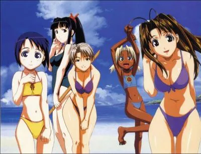 De quel anim provient l'image ci-dessous ?