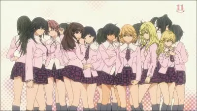 De quel anim provient l'image ci-dessous ?