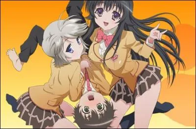 De quel anim provient l'image ci-dessous ?