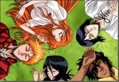 De quel anim provient l'image ci-dessous ?