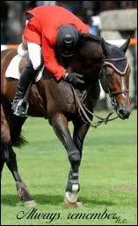 Comment est mort Hickstead ?