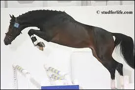 Qui est le pre d'Hickstead