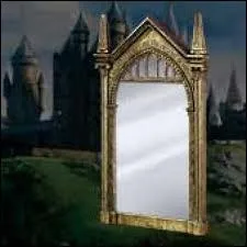 Comment s'appelle ce miroir ?