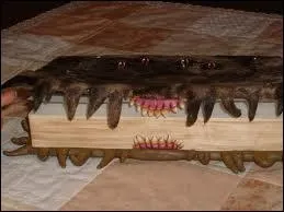 Comment s'appelle ce livre de cours lors de leur troisime anne  Poudlard ?