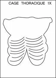 Combien avons-nous de ctes ?