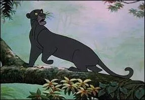 Qui est ce personnage du Livre de la jungle ?