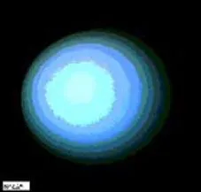 Quelle est cette plante ?