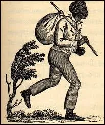 Amricain n au XVIIIme sicle, Thomas Fuller tait capable de calculer en deux minutes le nombre de secondes contenues dans un an 1/2. Quel tait son surnom ?