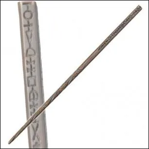 A qui appartient cette baguette ?