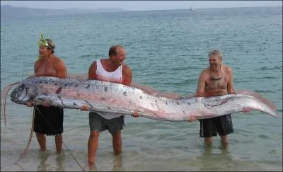 On l'appelle le rgallec !