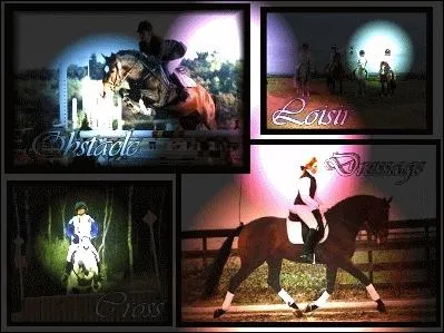 Dans quel ordre se passent les épreuves de concours complet ?